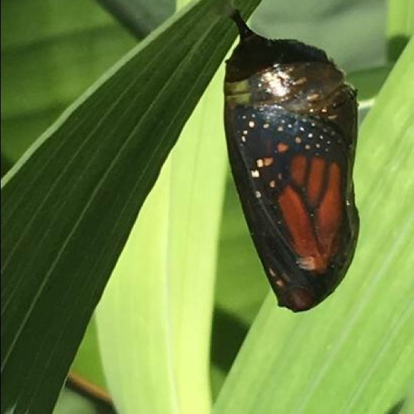 Loving Poshmark - Picture 6 of 6